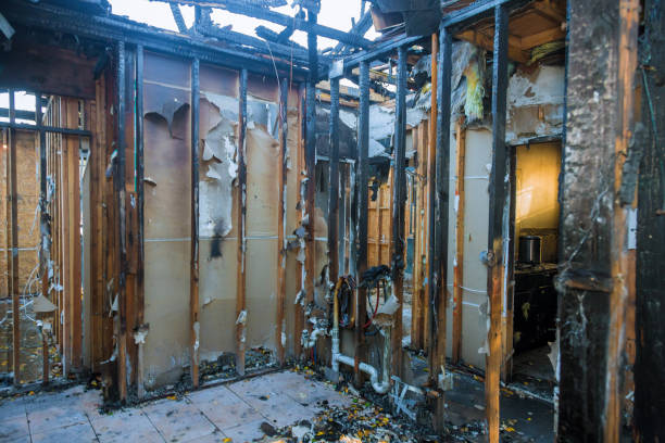 Professional Fire Damage Removal technician working in Pine Island, MN